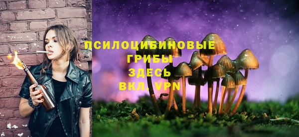 тгк Шарыпово