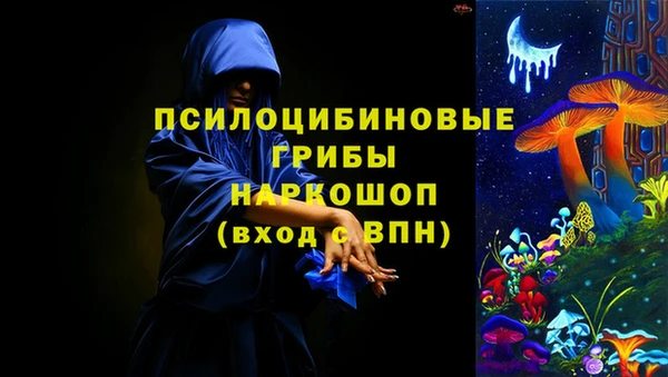 герыч Мегион