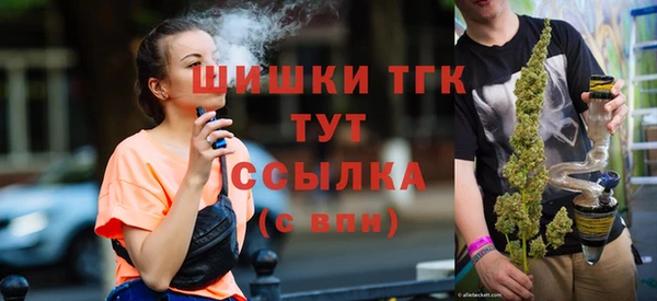герыч Мегион