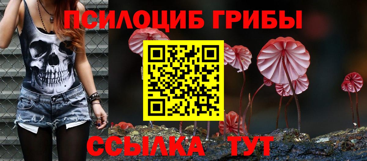 Псилоцибиновые грибы прущие грибы Черемхово
