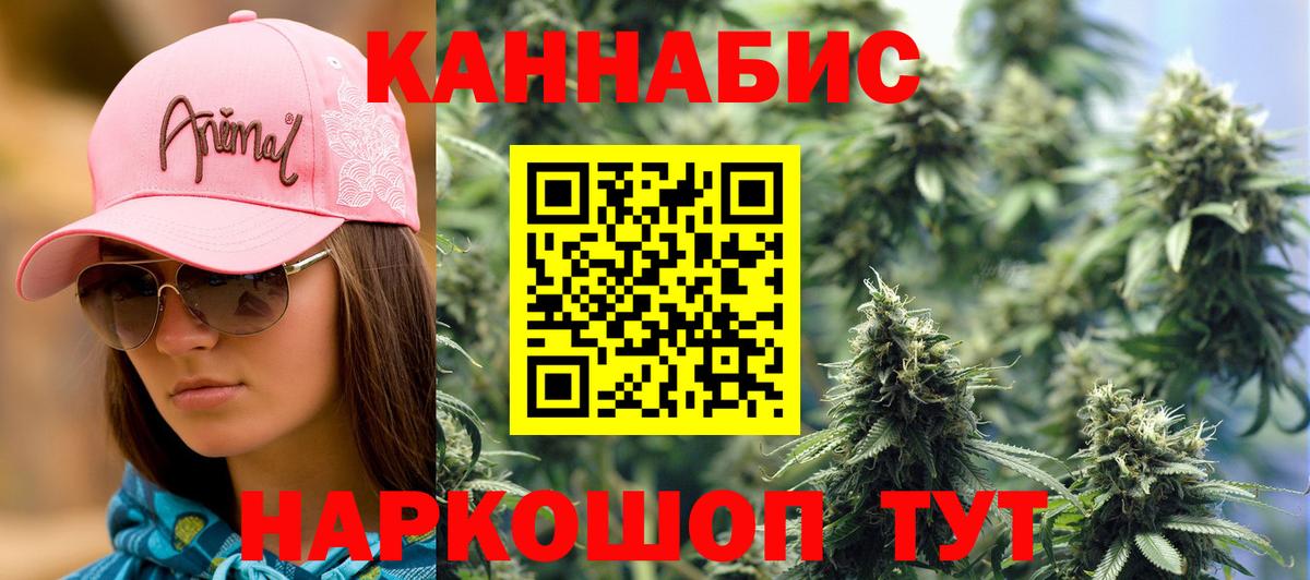 Бошки Шишки план Черемхово